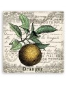 Canvas print - Vintage orange | FEEBY