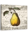 Canvas print - Vintage pear | FEEBY