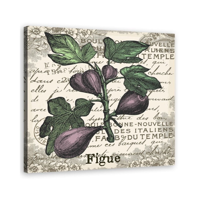 Bild auf Leinwand - Vintage Feigen | Feeby