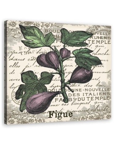 Bild auf Leinwand - Vintage Feigen | Feeby