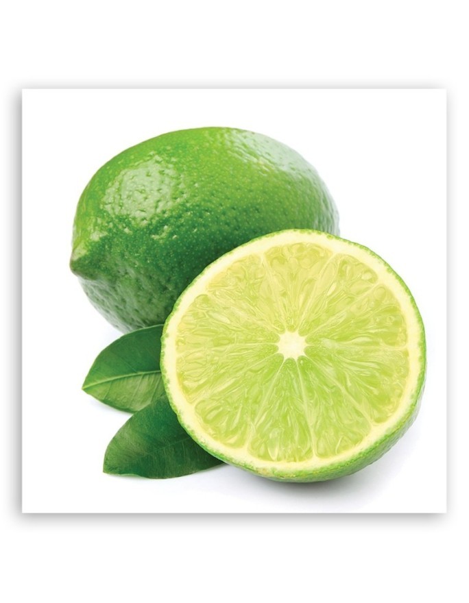 Obraz na płótnie do kuchni - Owoce limonka | FEEBY