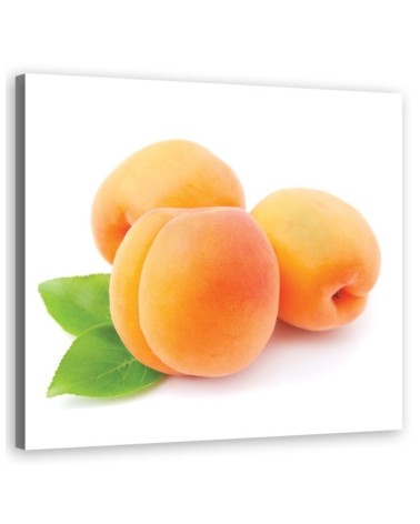 Leinwandbild - Aprikose Obst | Feeby
