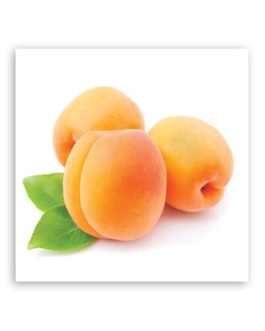 Leinwandbild - Aprikose Obst | Feeby