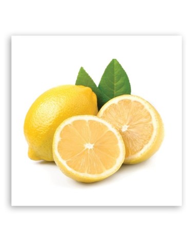 Wandbild für Wohnzimmer - Zitronenfrucht | Feeby