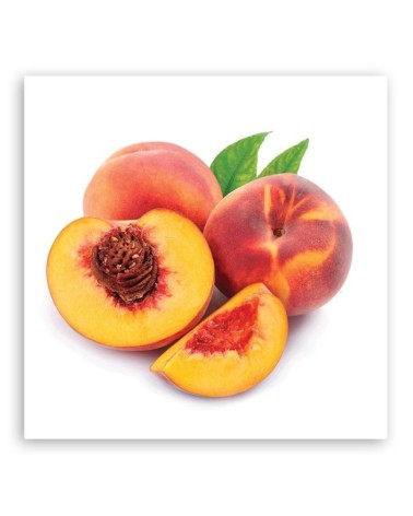 Modernes Wandbild - Obst Boching | Feeby