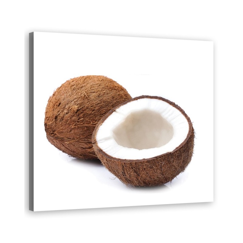 Dekoratives Leinwandbild - Kokosfrucht | Feeby