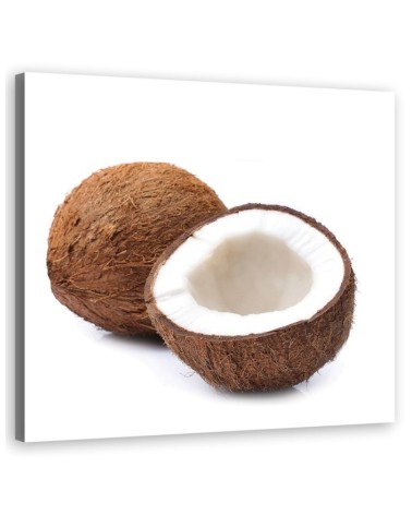 Dekoratives Leinwandbild - Kokosfrucht | Feeby