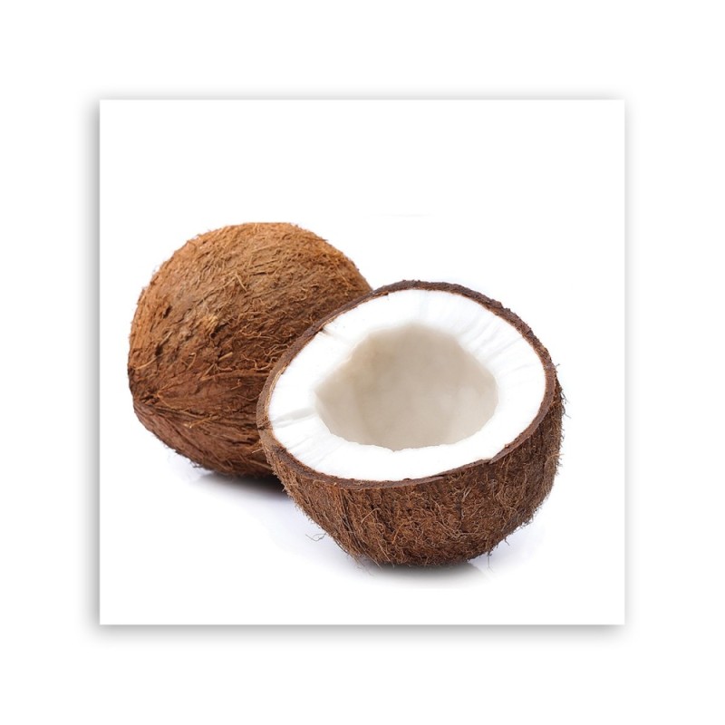 Dekoratives Leinwandbild - Kokosfrucht | Feeby