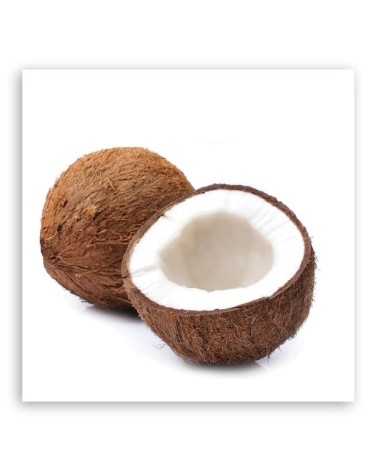 Dekoratives Leinwandbild - Kokosfrucht | Feeby