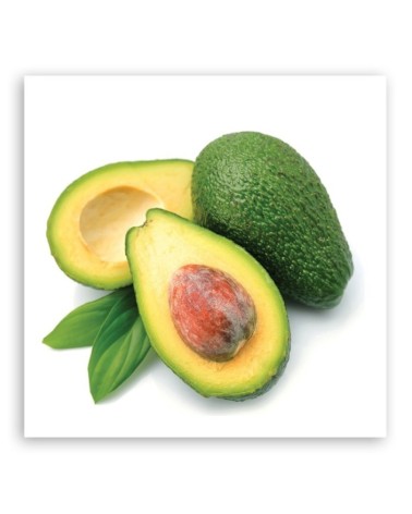 Leinwandbild - Avocado -Früchte | Feeby