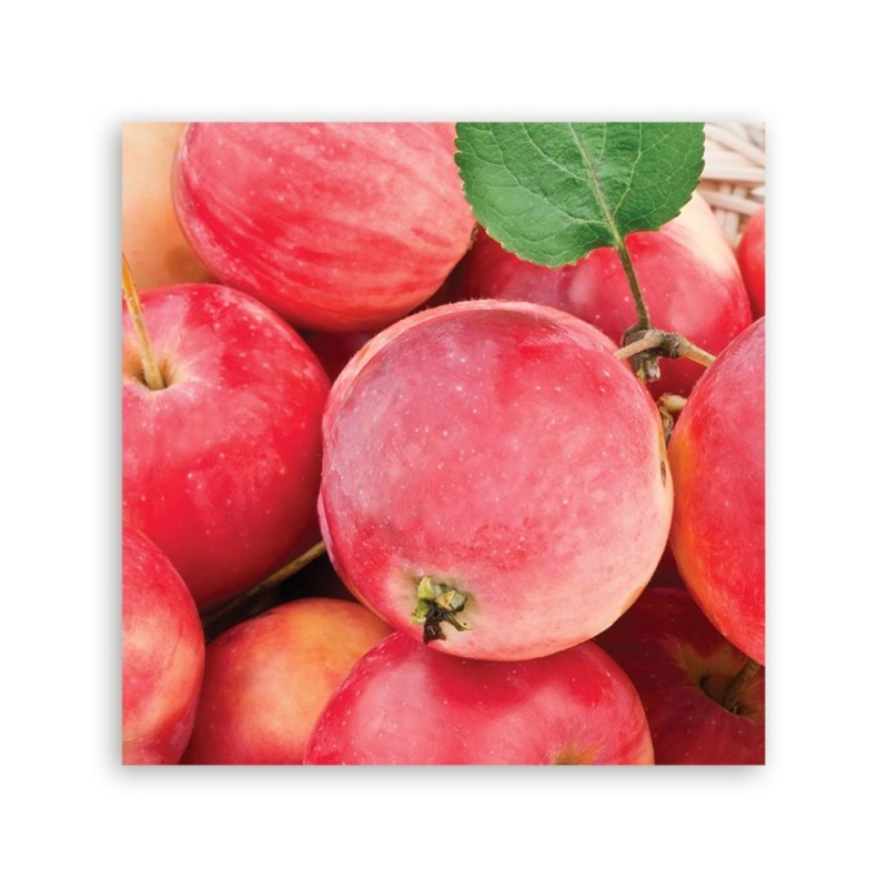 Leinwandbild modern - Makro -Apple Obst | Feeby