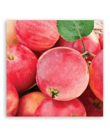 Leinwandbild modern - Makro -Apple Obst | Feeby