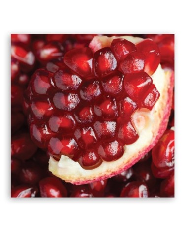 Leinwandbild - Makro -Marineblau Obst | Feeby