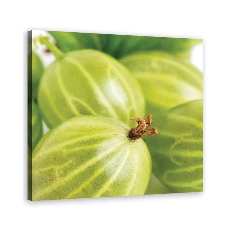 Bild auf Leinwand - Stachelbeeren Obst | Feeby