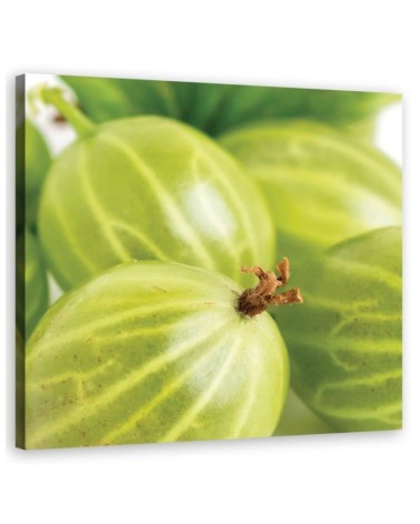 Gooseberry macro - Canvas print | FEEBY