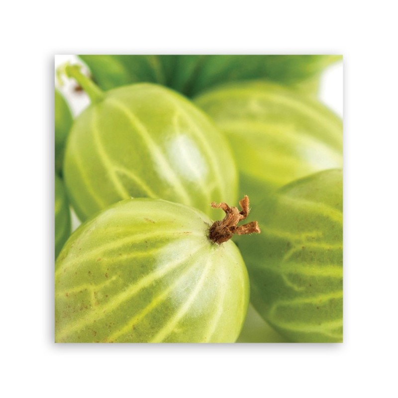 Bild auf Leinwand - Stachelbeeren Obst | Feeby