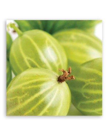 Bild auf Leinwand - Stachelbeeren Obst | Feeby