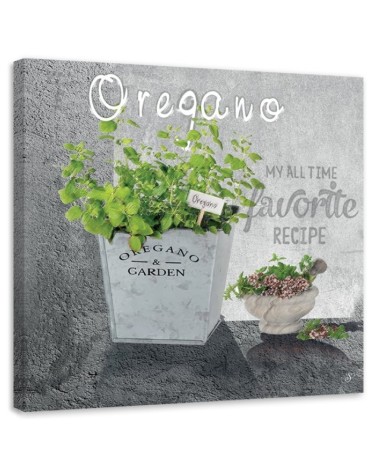 Canvas print - Oregano kitchen spices. High quality  | FEEBY