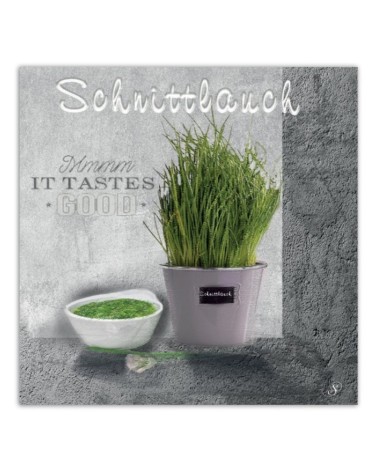 Leinwandbild - Schnittlauch Gewürze für die Küche | Feeby