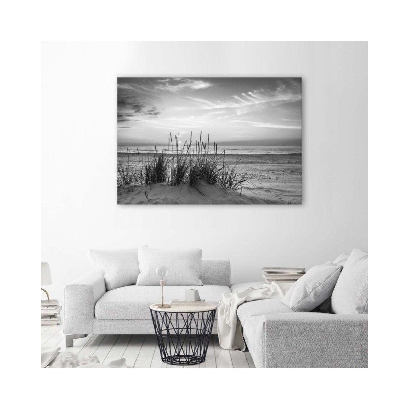Bild auf Leinwand - Gräser am Strand - schwarz und weiß | Feeby