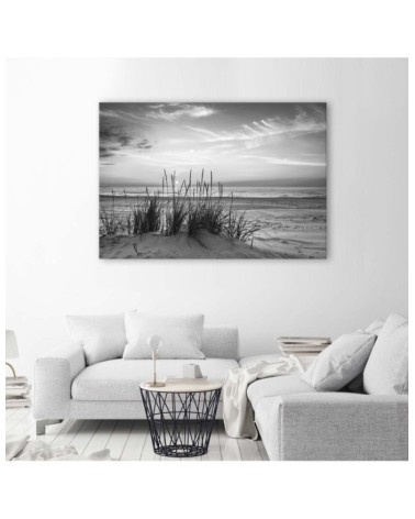 Bild auf Leinwand - Gräser am Strand - schwarz und weiß | Feeby