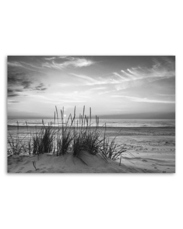 Bild auf Leinwand - Gräser am Strand - schwarz und weiß | Feeby