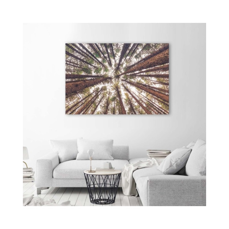 Bild auf Leinwand - Baum Wald Natur | Feeby