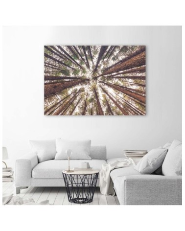 Bild auf Leinwand - Baum Wald Natur | Feeby