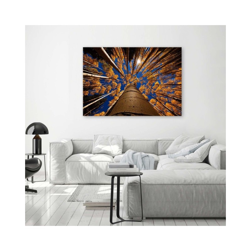 Las korony drzew natura - Obraz na płótnie canvas | FEEBY