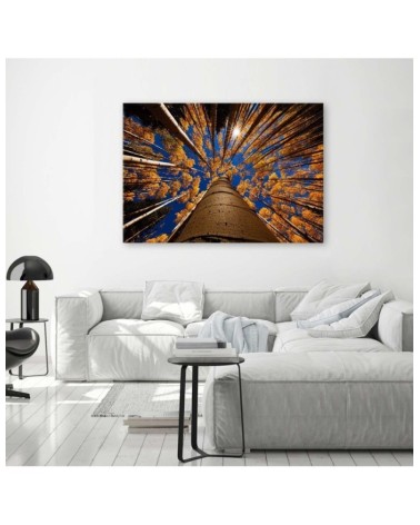 Leinwandbild modern - Kronen von Bäumen | Feeby