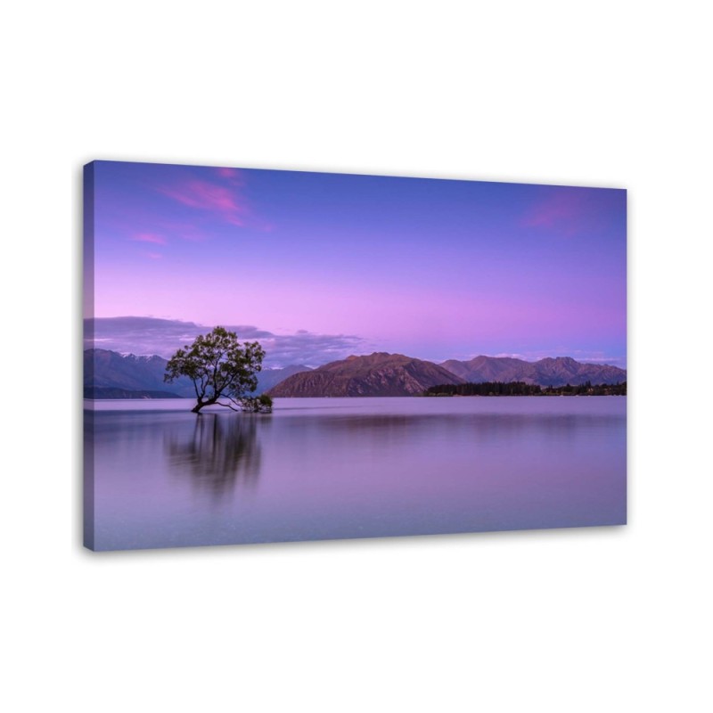 Leinwandbild - Baum auf einem See | Feeby