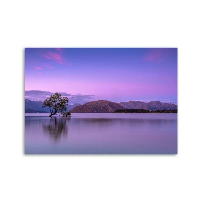 Leinwandbild - Baum auf einem See | Feeby