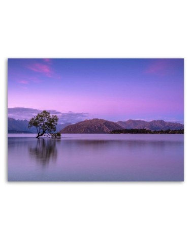 Leinwandbild - Baum auf einem See | Feeby