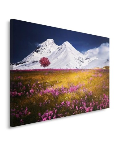 Canvas print modern - Alps mountains meadow | FEEBY