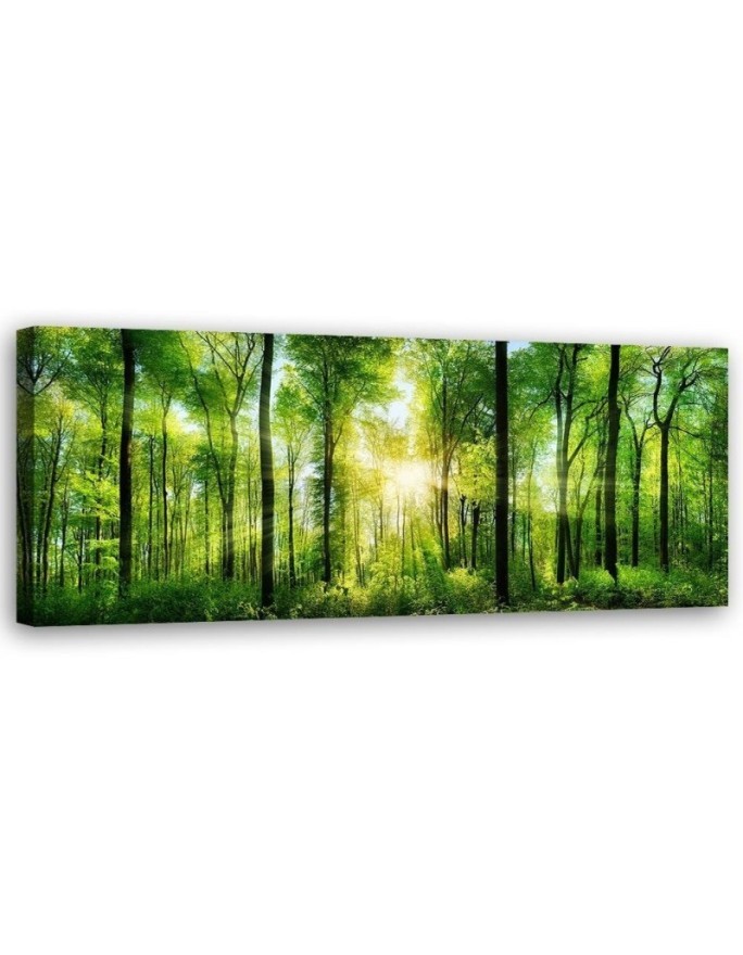 Leinwandbild modern - Sonnenschein im Wald Landschaft | Feeby