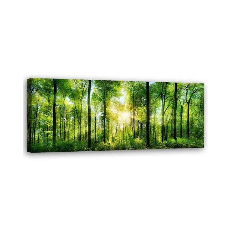 Leinwandbild modern - Sonnenschein im Wald Landschaft | Feeby