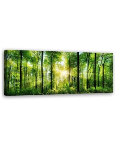 Leinwandbild modern - Sonnenschein im Wald Landschaft | Feeby