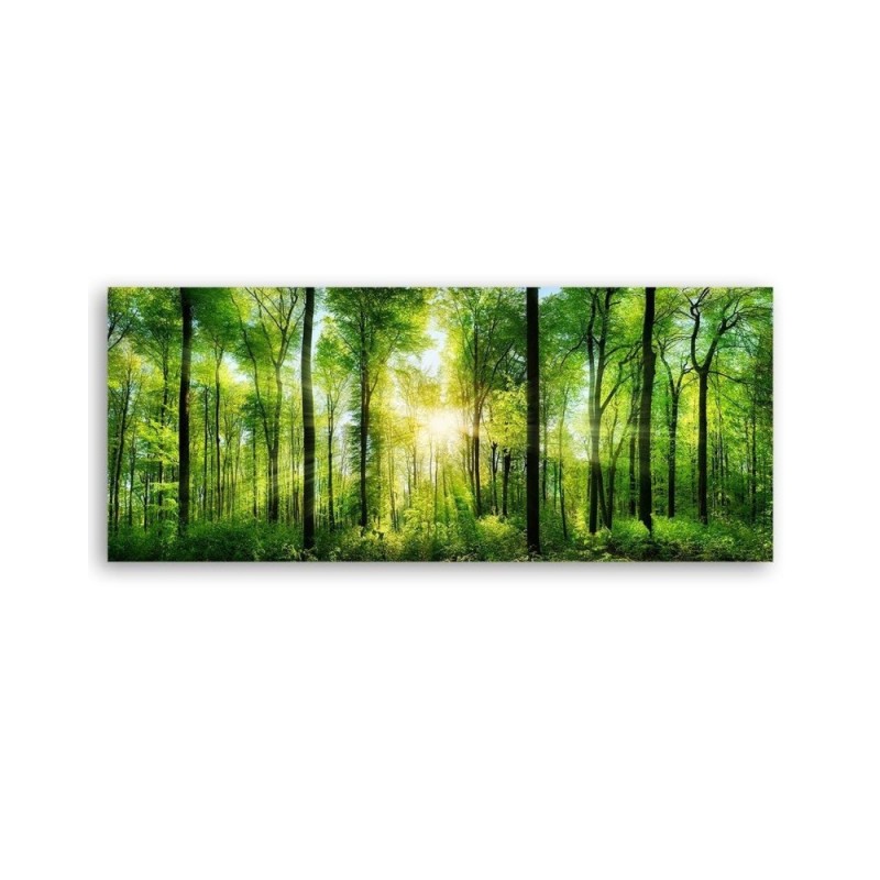 Leinwandbild modern - Sonnenschein im Wald Landschaft | Feeby