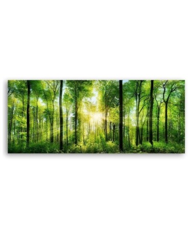 Leinwandbild modern - Sonnenschein im Wald Landschaft | Feeby