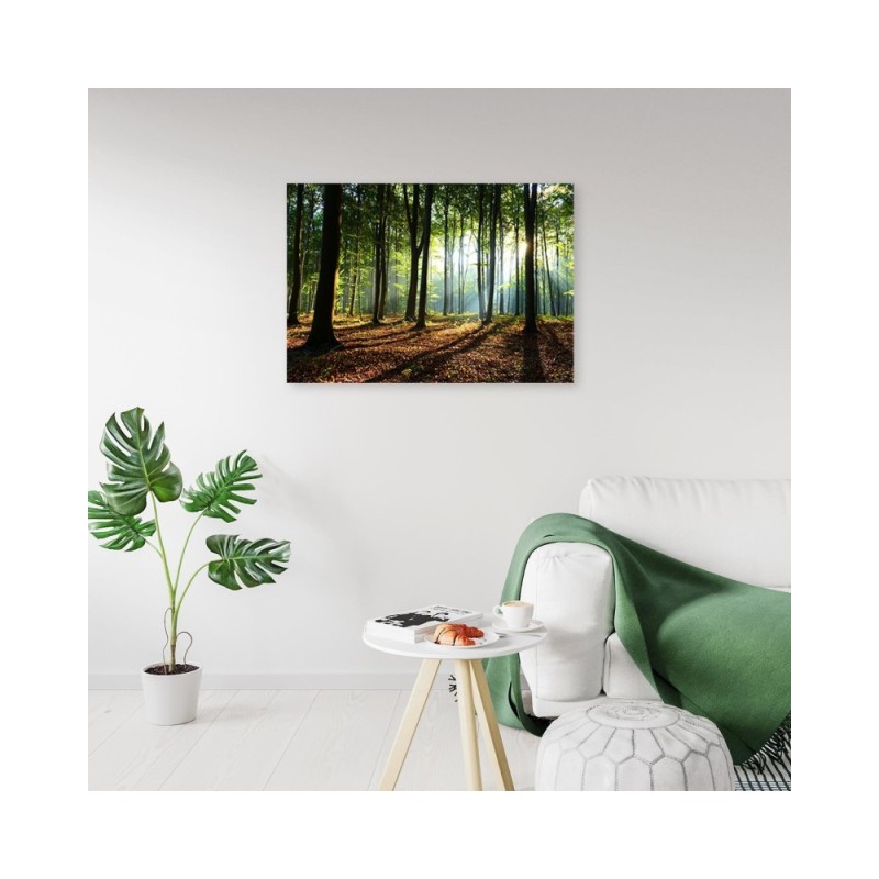 Bild auf Leinwand - Wald bei Sonnenaufgang | Feeby