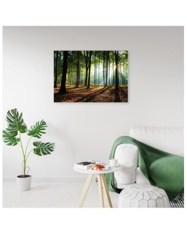 Bild auf Leinwand - Wald bei Sonnenaufgang | Feeby