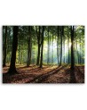 Modern Canvas painting for bedroom - Forest at sunrise | FEEBY