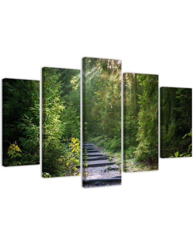 Leinwanddruck - Wald Natur Grün Landschaft | Feeby