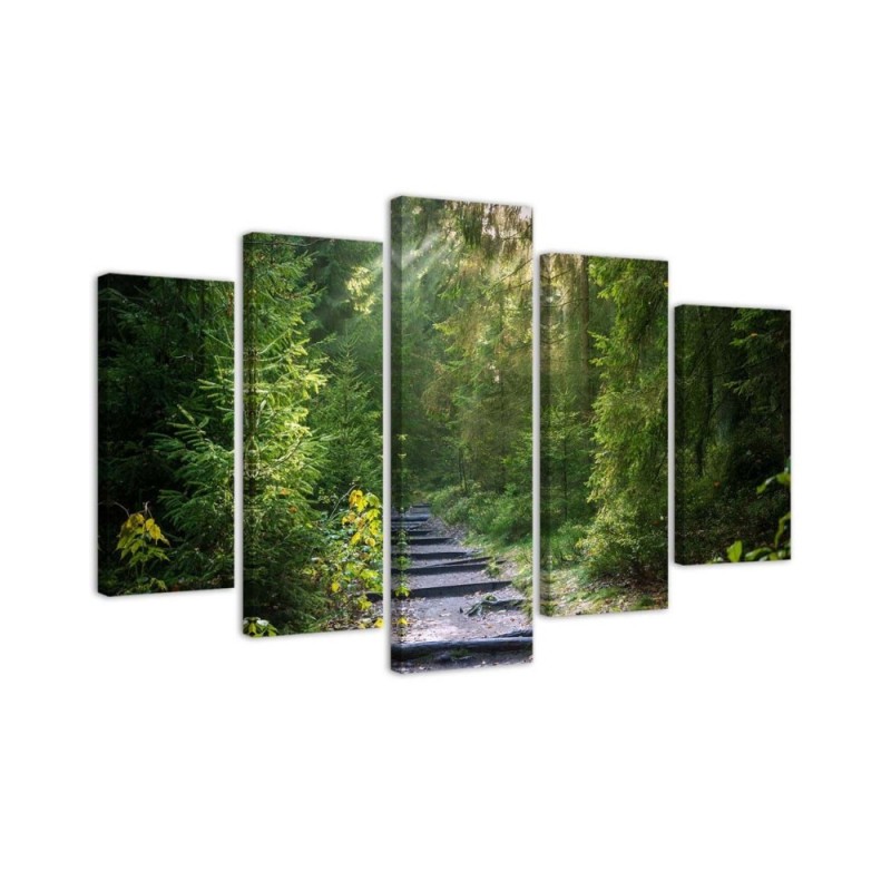 Leinwanddruck - Wald Natur Grün Landschaft | Feeby