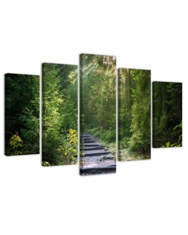 Multipart picture - Picture of a path in a green forest | FEEBY