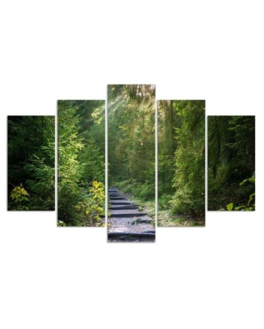 Leinwanddruck - Wald Natur Grün Landschaft | Feeby