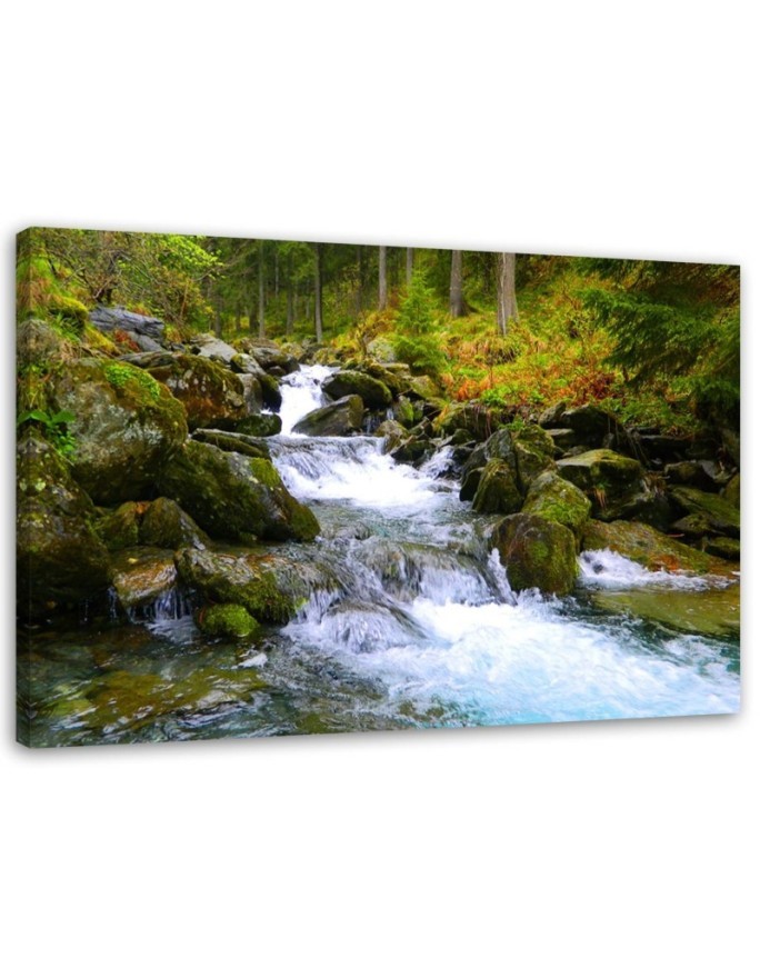Bild auf Leinwand - Bergbach in Grün | Feeby