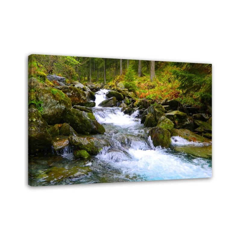 Bild auf Leinwand - Bergbach in Grün | Feeby
