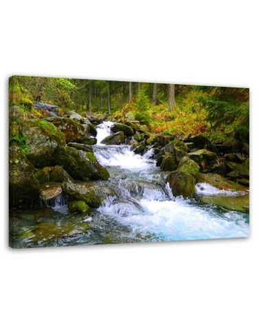 Bild auf Leinwand - Bergbach in Grün | Feeby