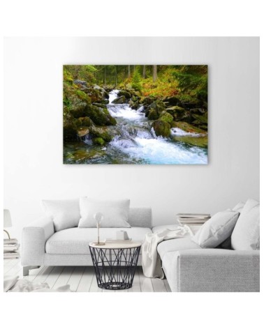 Bild auf Leinwand - Bergbach in Grün | Feeby